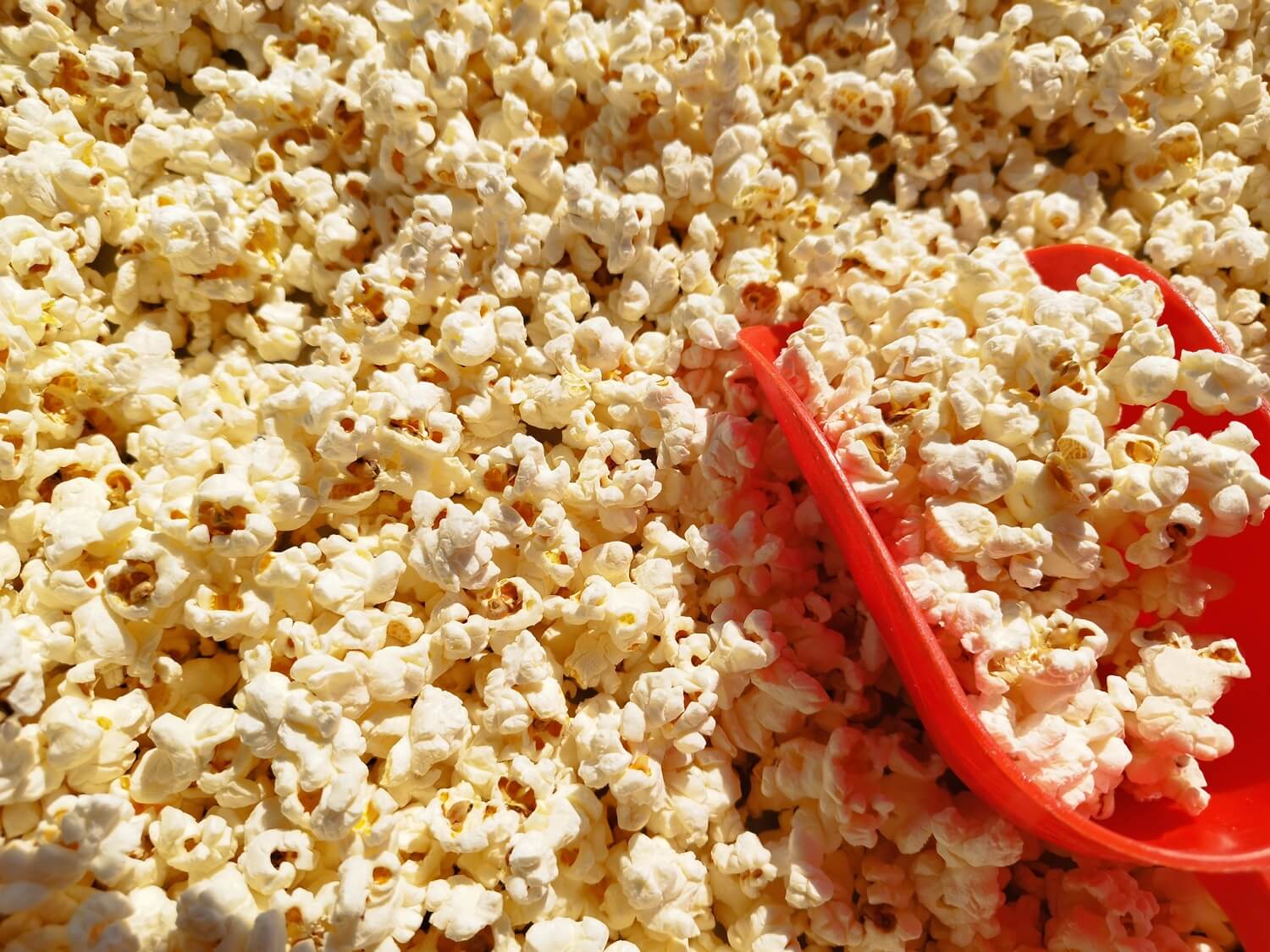 Frisches premium Popcorn von PopcornHeld